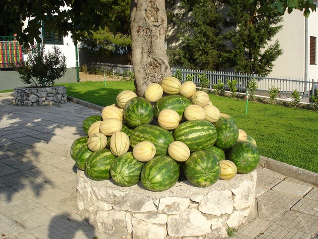 chorvatsko-klek-apartmány-bonaca0049