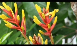 poznávací zájezd tropical Islands 0001