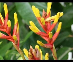 poznávací zájezd tropical Islands 0001