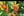 poznávací zájezd tropical Islands 0001