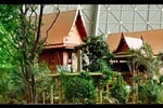 poznávací zájezd tropical Islands 0004