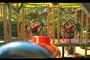 poznávací zájezd tropical Islands 0008