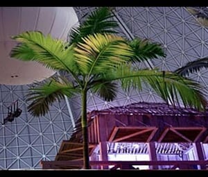 poznávací zájezd tropical Islands 0011