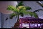 poznávací zájezd tropical Islands 0011