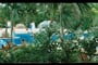 poznávací zájezd tropical Islands 0017