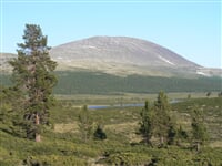 Heidalsmuen