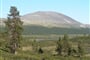 9009 Vyhl�dkov� hora Heidalsmuen, 1745 m n. m.