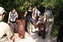 Adventure Safari v Indonésii - Sumatra - 10 dní