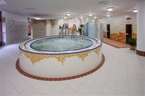Patince - Wellness hotel **** - pobyt Revital