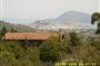  Elba - Villaggio Ortano Mare ****