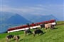 Curych a Lucern s návštěvou Mt. Rigi - 4 dny (EUROVÍKEND)