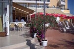 Foto - Hotel Plamena Palace ****