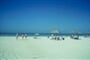 Ajman Beach