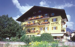 Hotel Andreas Hofer ***