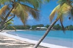 Karibský koktejl (Guadeloupe a Martinik)