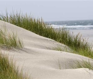 HOLANDSKÉ FRÍSKO A OSTROV TERSCHELLING NA KOLE