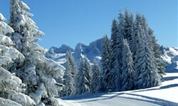Lyžování v Rakousku - Dachstein West - 18