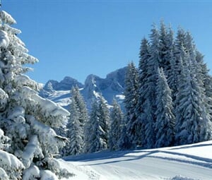 Lyžování v Rakousku - Dachstein West - 18