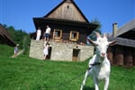 Apartmány Vila Hedvika*** Rožnov pod Radhoštěm