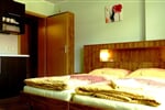 Apartmány Vila Hedvika*** Rožnov pod Radhoštěm