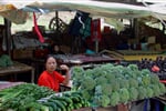D I Hmong%20Market 1