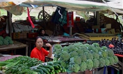 D I Hmong%20Market 1