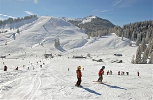 Alpy - Kaiserwinkl - levné lyžování - apartmán - skipas v ceně / č.6257