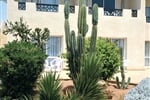 Foto - Sharm El Sheikh - Reef Oasis Beach Resort ****