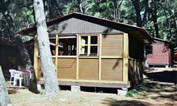 fazana - pineta - 02