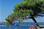 porec - lanterna - plaz4