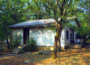 Njivice (ost. Krk) - Flora bungalovy *