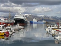 Reykjav�k