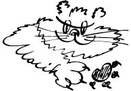 tiskarnamacikLogo