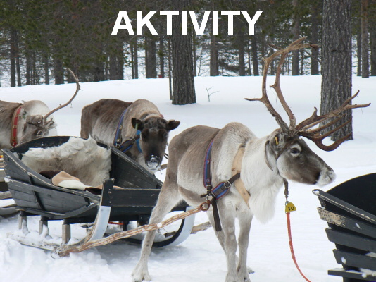 aktivity