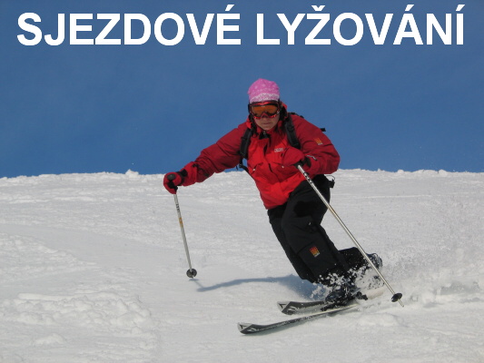 sjezdov� ly�ov�n�