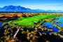 Links 15th