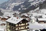 Gemshorn-zima