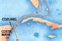 Carnival Dream - Florida, Mexiko, Honduras, Belize