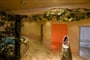 Foto - Pitztal - Hotel Sonnblick ***