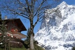 Foto - Jungfrau - Chalet - Grindelwald ***