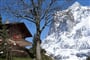 Foto - Jungfrau - Chalet - Grindelwald ***