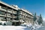 Foto - Crans Montana - Hotel de la Foret ***