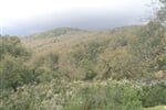 Grand tour Tuniskem