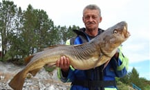 Foto - Norsko - rybolov - ostrov Hitra - Knarlagsund **