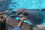 Německo - ZOO a delfinárium Norimberk