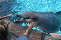 ZOO a delfinárium Norimberk