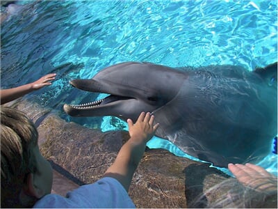 Německo - ZOO a delfinárium Norimberk