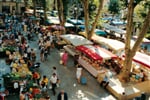 Foto - Francie - Francie / Provence
