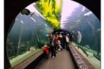Foto - Vídeň - Vídeň, ZOO Schönbrunn a romantické Wachau