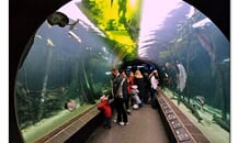 Foto - Vídeň - Vídeň, ZOO Schönbrunn a romantické Wachau